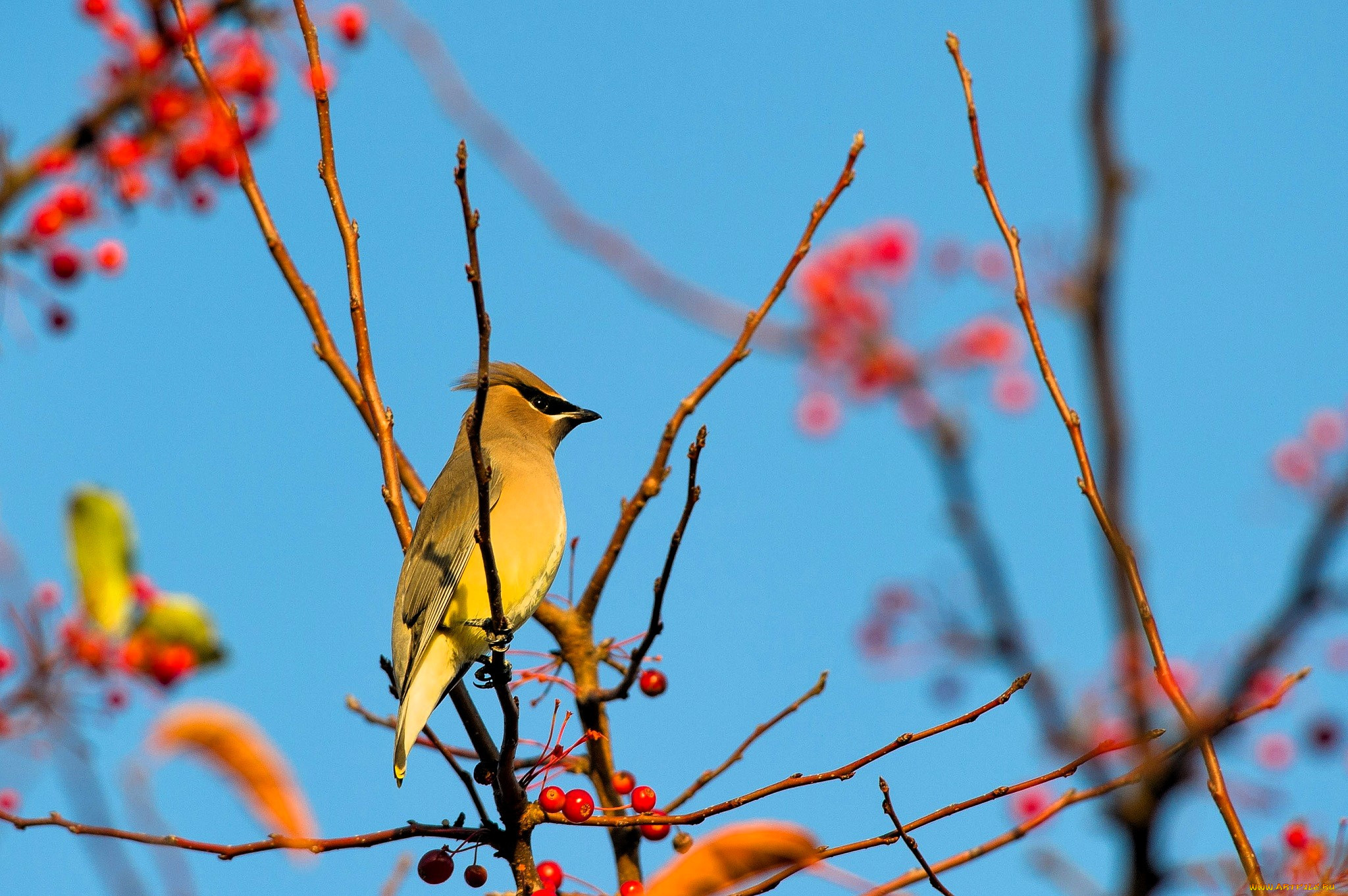 ��������, ����������, �����, ����������, ������, �����, ������, �����, ����